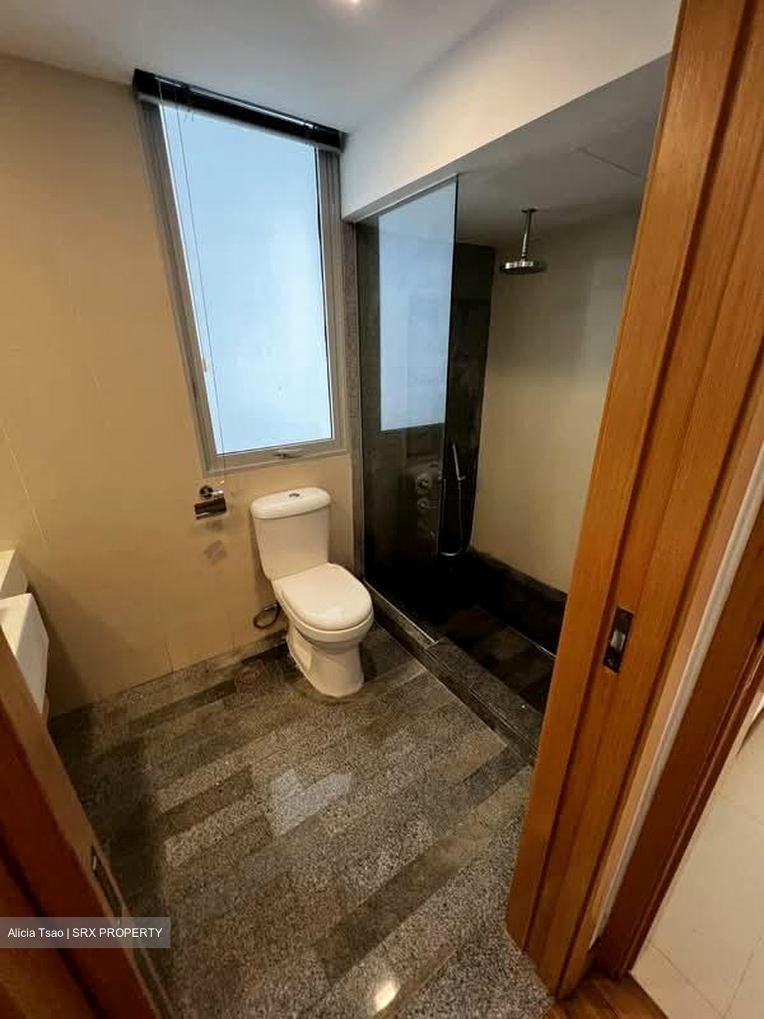 8 @ Mount Sophia (D9), Condominium #581357571